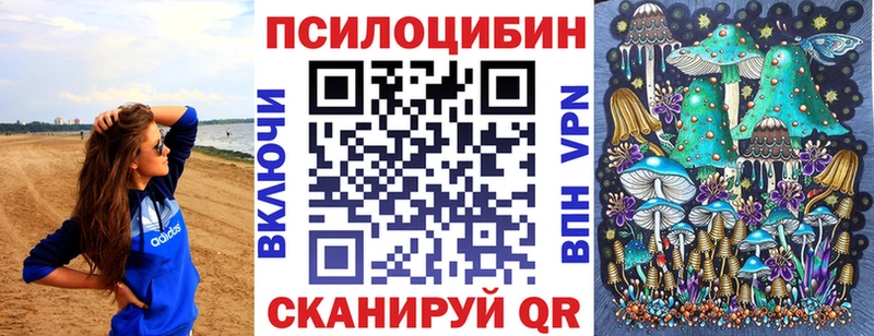 Псилоцибиновые грибы прущие грибы  где продают наркотики  Барыш 